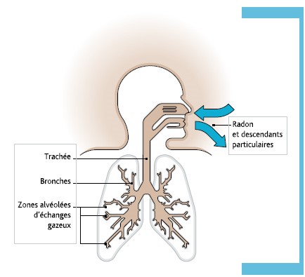 Effet sanitaire radon