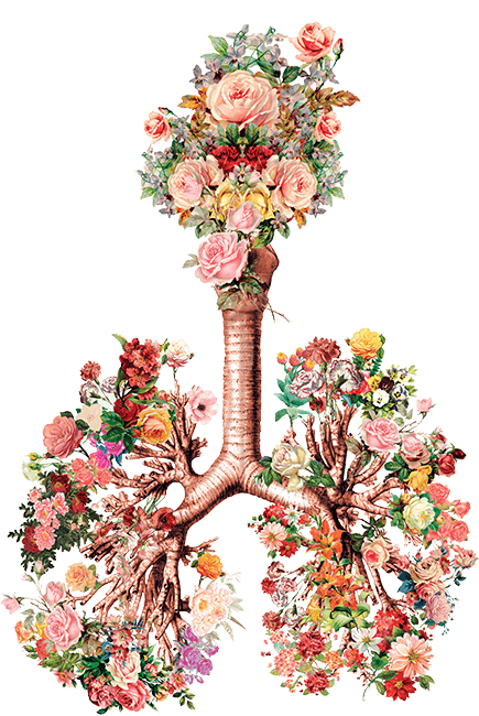 Vignette